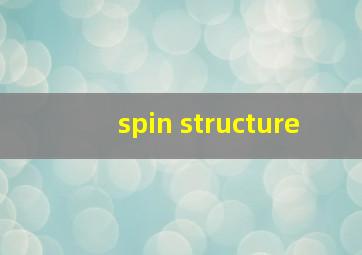 spin structure